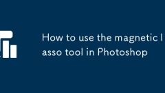 How to use the magnetic lasso tool in Photoshop