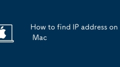 Cara Mencari Alamat IP di Mac