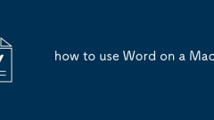 how to use Word on a Mac
