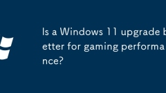 Windows 11 ?????? ?? ??? ?? ? ?????