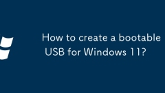 Windows 11 ? ?? ??? USB? ??? ??? ??????