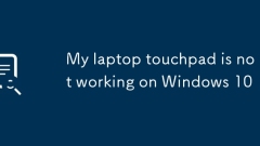 我的筆記本電腦觸摸板在Windows 10上不起作用