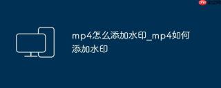 mp4怎么添加水印_mp4如何添加水印