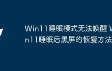Win11睡眠模式無法喚醒 Win11睡眠后黑屏的恢復方法
