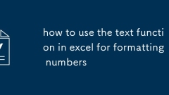 how to use the text function in excel for formatting numbers