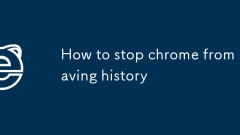 Cara Menghentikan Chrome Dari Penjimatan Sejarah
