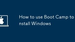 How to use Boot Camp to install Windows