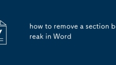 how to remove a section break in Word