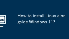 How to install Linux alongside Windows 11?