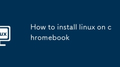 How to install linux on chromebook