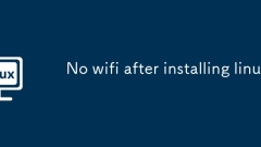 No wifi after installing linux