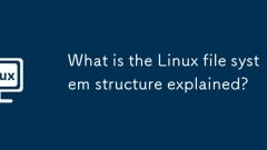 What is the Linux file system structure explained?