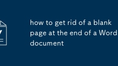 how to get rid of a blank page at the end of a Word document
