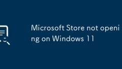 Microsoft Store not opening on Windows 11