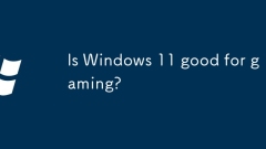 Windows 11? ??? ?????