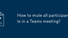 How to mute all participants in a Teams meeting?