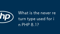 PHP 8.1中使用的永不返回類型是什麼?