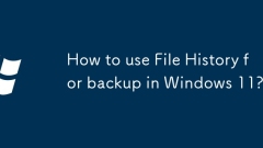 Windows 11?? ??? ?? ??? ???? ??? ??????
