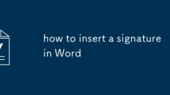 how to insert a signature in Word