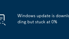 Windows update is downloading but stuck at 0%