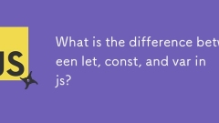 JS의 Let, Const 및 Var의 차이점은 무엇입니까?