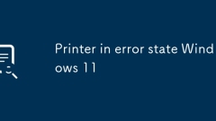 Printer in error state Windows 11