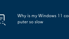 Why is my Windows 11 computer so slow