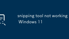 snipping tool not working Windows 11