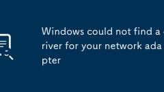 Windows could not find a driver for your network adapter