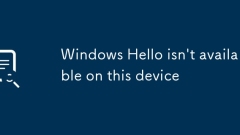 Windows Hello isn't available on this device