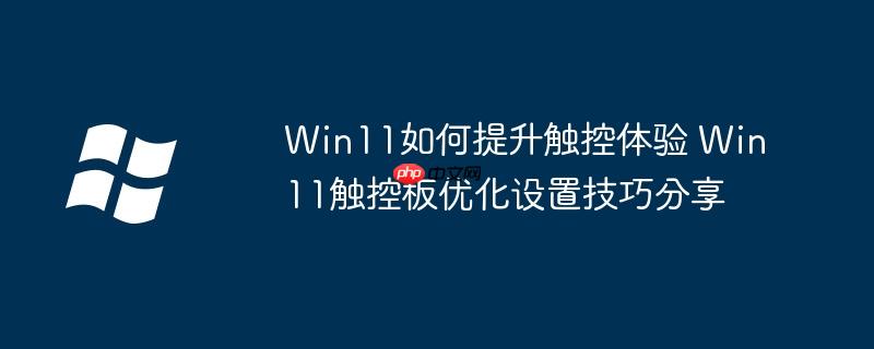 Win11如何提升触控体验 Win11触控板优化设置技巧分享