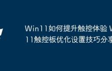 Win11如何提升触控体验 Win11触控板优化设置技巧分享