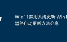 Win11禁用系统更新 Win11暂停自动更新方法分享