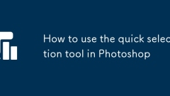 How to use the quick selection tool in Photoshop