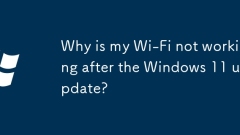 Why is my Wi-Fi not working after the Windows 11 update?