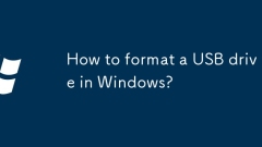 How to format a USB drive in Windows?