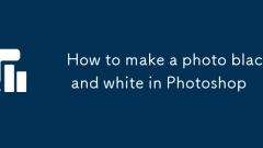 How to make a photo black and white in Photoshop