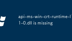 api-ms-win-crt-runtime-l1-1-0.dll is missing