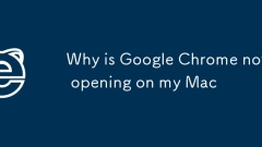 Mengapa Google Chrome tidak dibuka di Mac saya