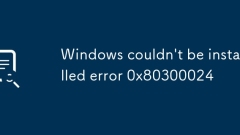 Windows couldn't be installed error 0x80300024