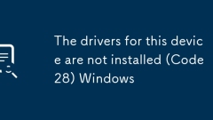 The drivers for this device are not installed (Code 28) Windows