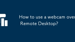 How to use a webcam over Remote Desktop?