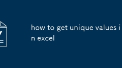 how to get unique values in excel