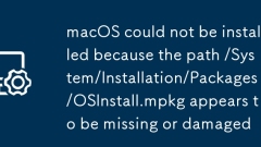 macOS could not be installed because the path /System/Installation/Packages/OSInstall.mpkg appears to be missing or damaged