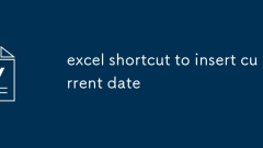 excel shortcut to insert current date