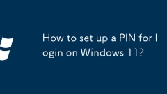 How to set up a PIN for login on Windows 11?