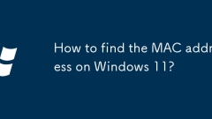 How to find the MAC address on Windows 11?