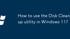 How to use the Disk Cleanup utility in Windows 11?