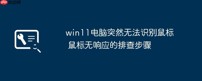 win11电脑突然无法识别鼠标 鼠标无响应的排查步骤