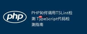 PHP如何调用TSLint检测 TypeScript代码检测指南